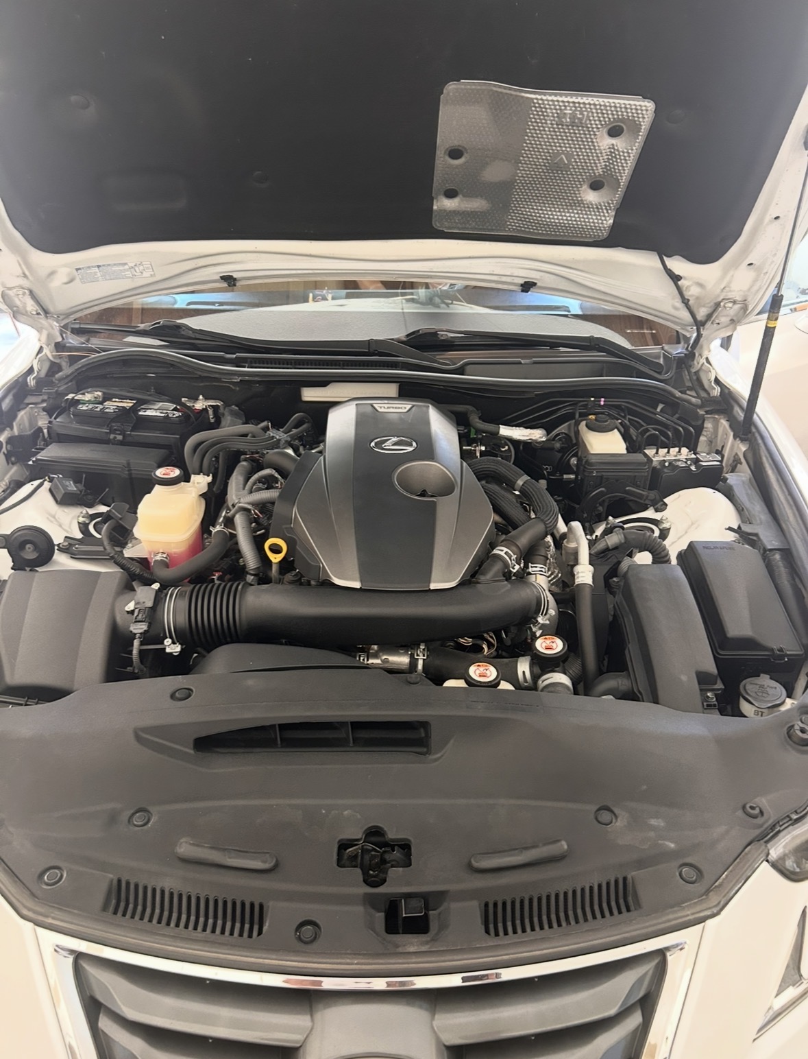 Engine Bay Degrease — after detailing